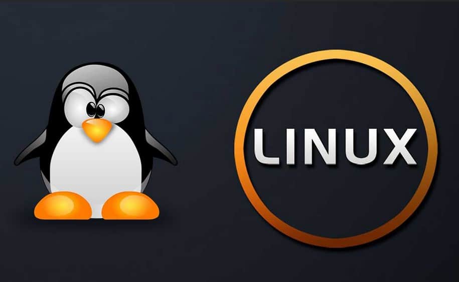Linux 6.9 预计周日发布 针对英特尔和AMD处理器都有重大改进